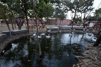 Swad Ri Dhani Ajmer Buitenkant foto